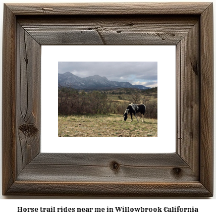 horse trail rides near me in Willowbrook, California